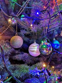 Illuminated christmas tree