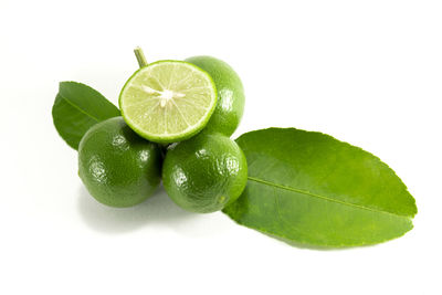 Close-up of green fruit against white background