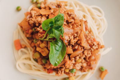 Close-up of meal served in plate