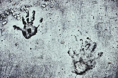 Close-up of footprints on wall