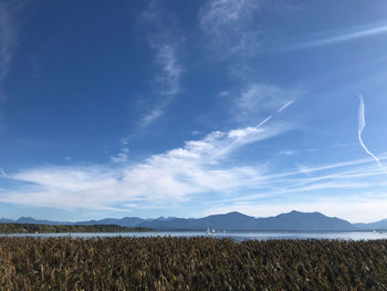 Scenic view of agricultural field against blue sky