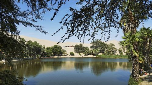 Scenic view of lake by trees against sky