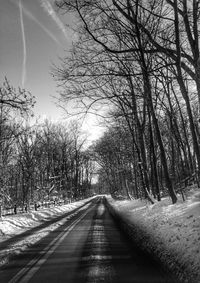 Empty road along trees