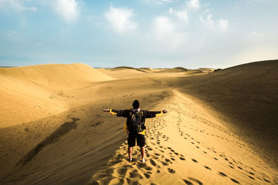 Rear view of man standing on desert