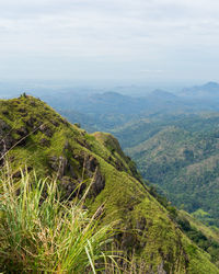 Landscape in the mountains. little adam s peak, ella, sri lanka with tea plantation. portrait format