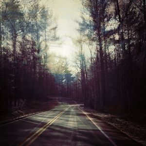Empty road along trees