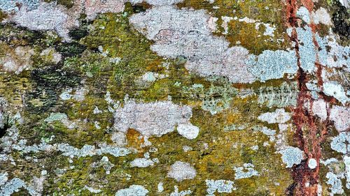 Full frame shot of stone wall