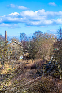Plants growing on land against sky