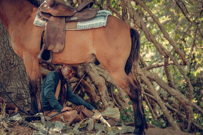 View of a horse on field