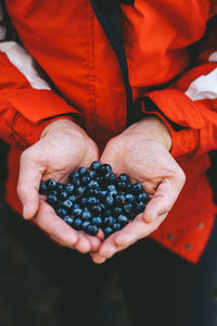 Midsection of man holding fruit