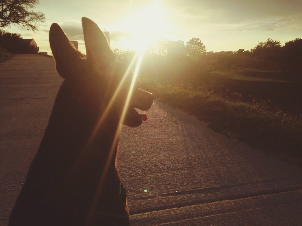 sun, sunlight, sunbeam, lifestyles, leisure activity, lens flare, sky, person, sunny, shadow, part of, sunset, low section, unrecognizable person, outdoors, day, holding