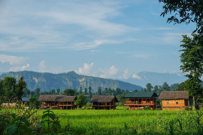 Scenic view of field by houses against sky