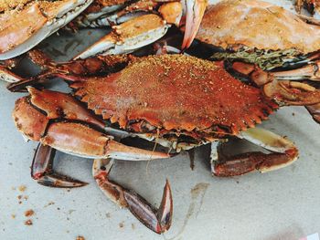 Close-up of crabs in plate