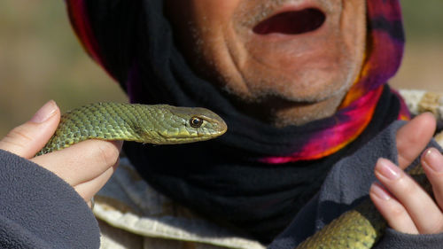 Close-up of man holding snake in hand