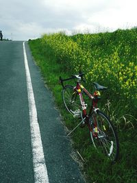 Bicycle parked on flower field by road