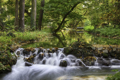 Stream flowing through rocks in forest