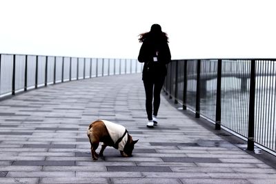 Rear view of woman and dog walking on footbridge