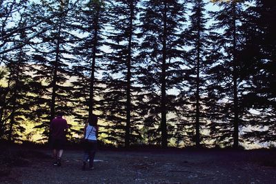 Rear view of man and woman walking in forest