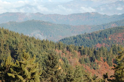 Scenic view of green mountains against sky