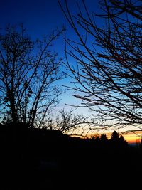 Low angle view of silhouette trees against sky