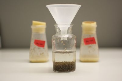 Close-up of laboratory equipment  on table with two plastic and one glass bottles for flies use