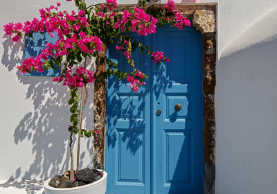 View of flower pot against plants