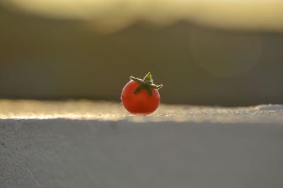 Close-up of cherry tomato