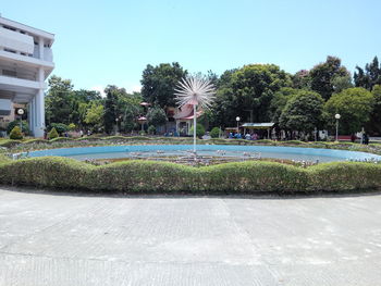 Plants growing in swimming pool against sky in city