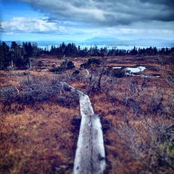 Panoramic view of landscape against sky