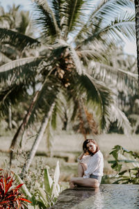 palm tree