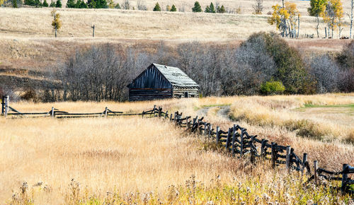 Abandoned house on field