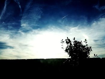 Low angle view of silhouette tree against sky