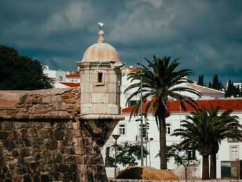 Palm trees and buildings against sky