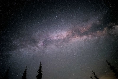 Low angle view of silhouette trees against sky at night