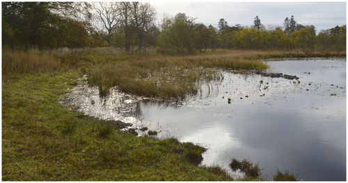 Scenic view of lake