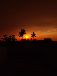 Silhouette palm trees against sky during sunset