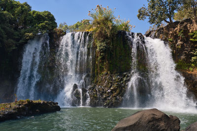 Scenic view of waterfall in forest