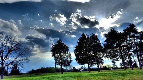 Scenic view of grassy field against cloudy sky