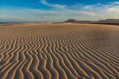 Scenic view of desert against sky