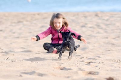 Puppy running towards girl sitting at beach