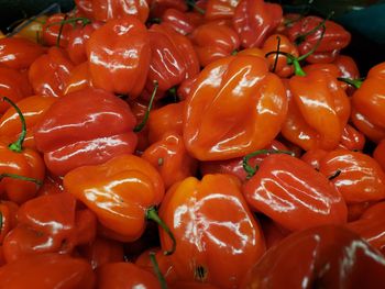 Full frame shot of yellow bell pepper