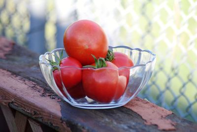 Close-up of tomatoes in bowl on table