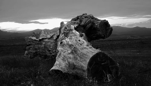 Rocks on field against sky