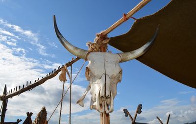 Low angle view of animal skull hanging against sky