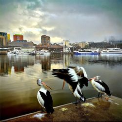 City against cloudy sky