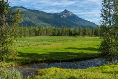 Scenic view of landscape and mountains against sky