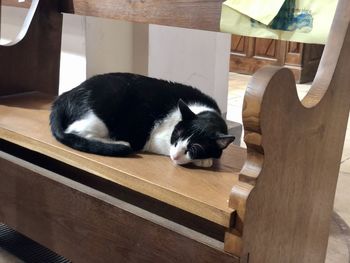 Cat sleeping on seat