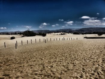 Panoramic view of wooden posts on field against sky