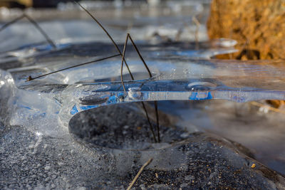 Close-up of wet frozen sea