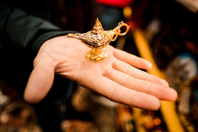 Close-up of hand holding butterfly